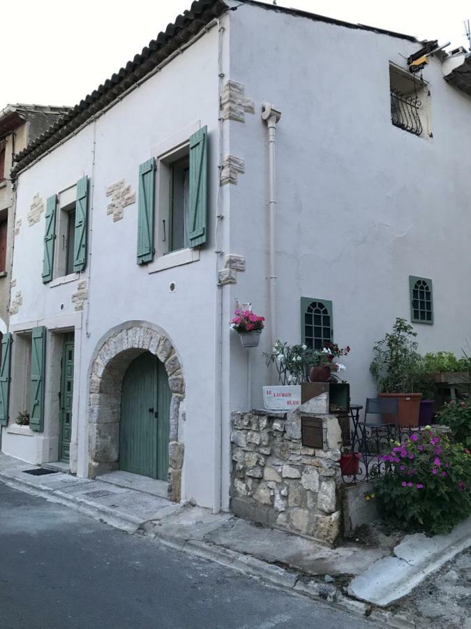 Chambre D'Hotes Le Laurier Blanc Portel-des-Corbieres Exterior photo